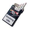 Marlboro Double Fusion Summer Karpuz ve Mentol - Görsel 2